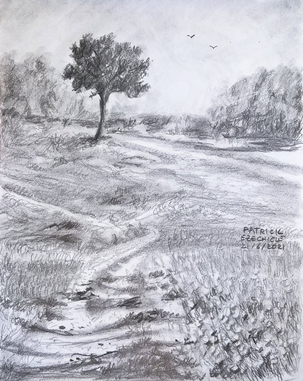 Paesaggio di campagna, di Patrick Ezechiele. Disegno in bianco e nero, matita su carta.