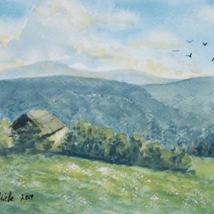 Dal trenino del Renon, di Patrick Ezechiele. Dipinto a colori, acquerello su carta 17 x 26 cm.