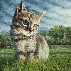 Il gatto Merlino, di Patrick Ezechiele. Dipinto a colori, olio su carta.