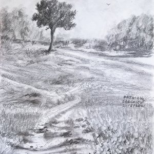 Paesaggio di campagna, di Patrick Ezechiele. Disegno in bianco e nero, matita su carta.